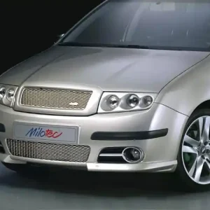 Jen Po Omezenou Doba Mřížka do nárazníku Škoda Fabia I Facelift (2004) - nerezová