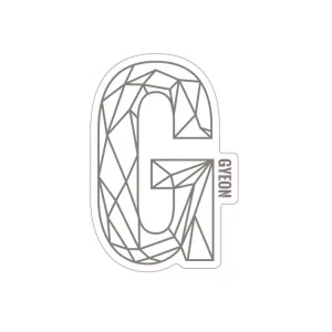 Vysoce Kvalitní Gyeon G Sticker Silver 100x65.6 mm